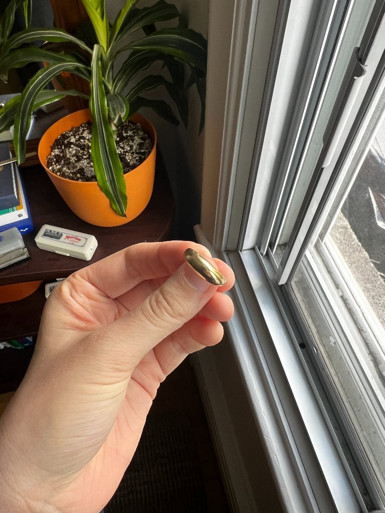 Mejuri 14k Solid Gold Thin Dme Ring